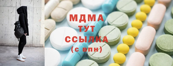 хмурый Пересвет
