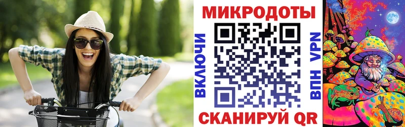 Псилоцибиновые грибы GOLDEN TEACHER  Беломорск 